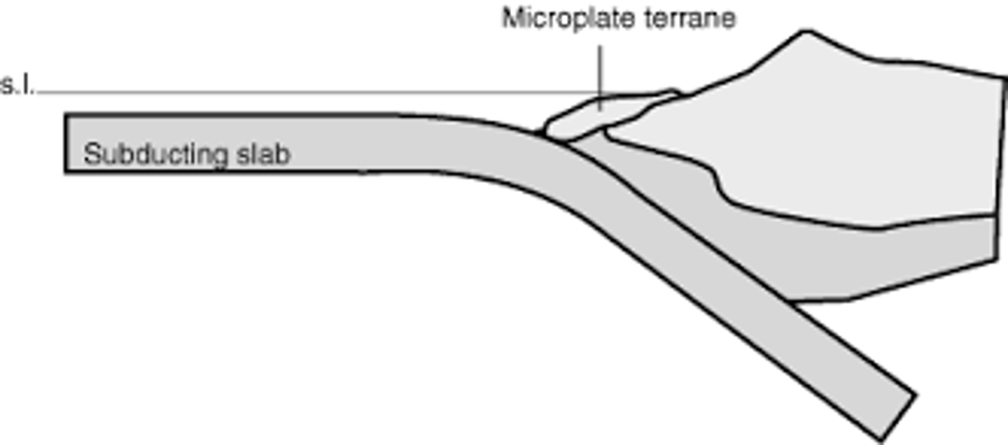 <p>fragment of crustal material formed on, or broken off from, one tectonic plate and "sutured" to crust of another plate, preserving own geologic history</p><ul><li><p><strong>suture zone</strong> between terrane &amp; crust often causes a <strong>fault</strong></p></li></ul>