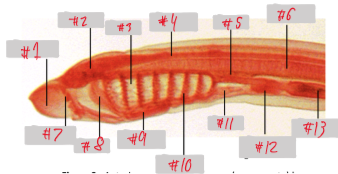 <p>5</p>