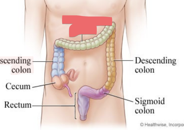 <p>passes from right to left</p>