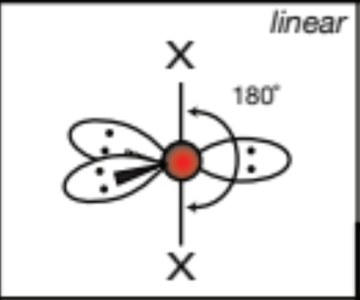 <p>linear, 180 degrees</p>