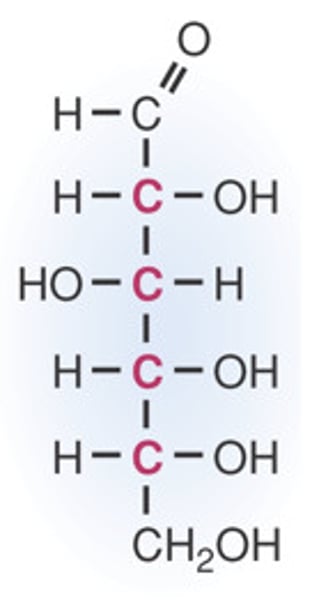 <p>the form of sugar that circulates in the blood and provides the major source of energy for body tissues.</p>