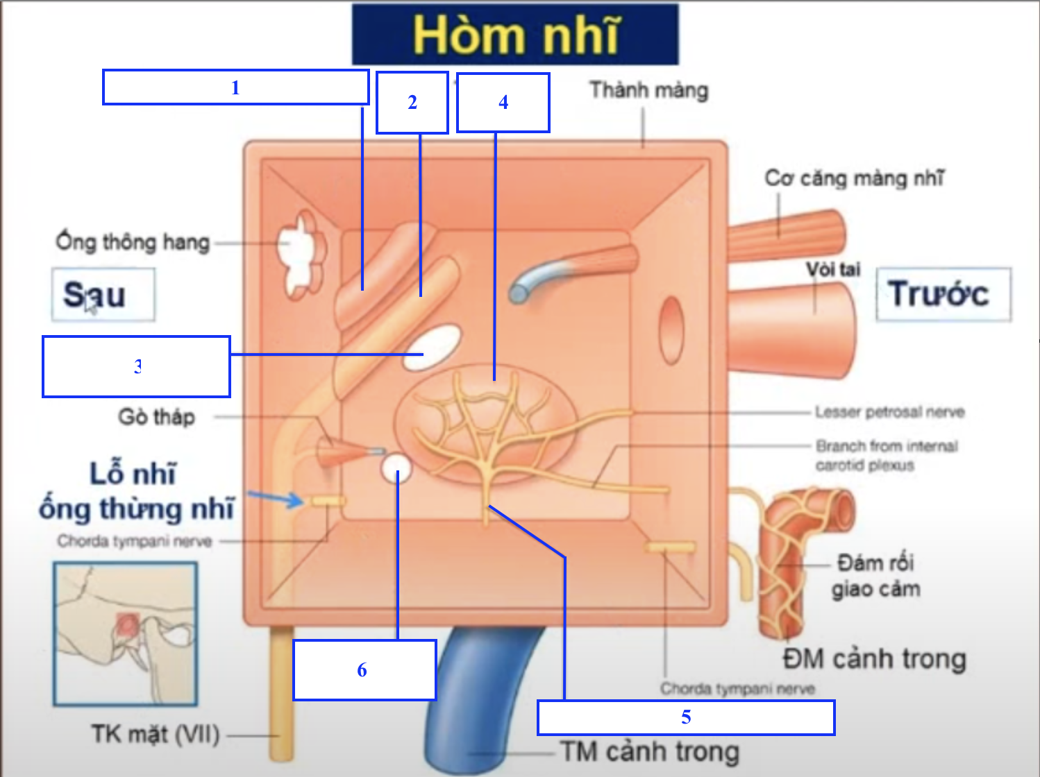 <p>Chi tiết nào đậy lên số 3 ? </p><p>Chi tiết nào đậy lên số 6 ?</p>