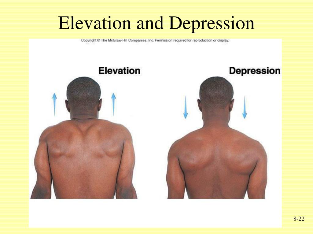 <p>ELEVATION: shrug your shoulders up on the frontal plane</p><p>DEPRESSION: shrug your shoulders down on the frontal plane</p>