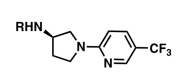 <p>The central core around which functional groups are typically arranged - typically stuff like aromatic rings which are flat and rigid.</p><p>Changing this central scaffold is called scaffold hopping.</p>