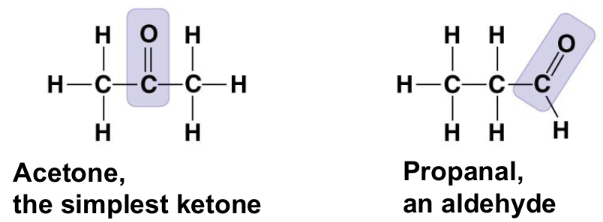 <ul><li><p>ketoses - sugars with ketone groups</p></li><li><p>aldoses - sugars with aldehydes</p></li><li><p>compound name: ketone or aldehyde</p></li></ul><p></p>