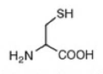 <p>Cysteine (C)</p>