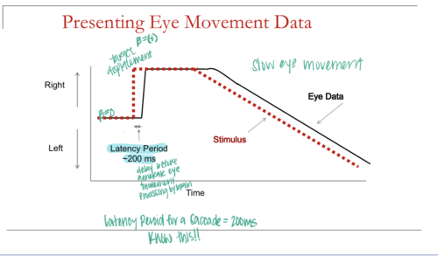 <p>Does the target move before the eye is able to process this movement &amp; initiate an eye movement?</p>