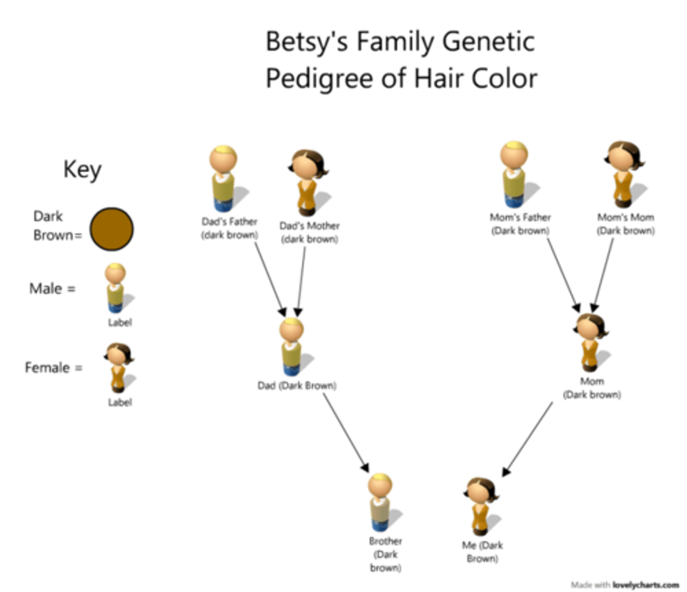 <p>Genetic material is passed from parent to offspring</p>