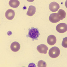 <p>What is this?</p>