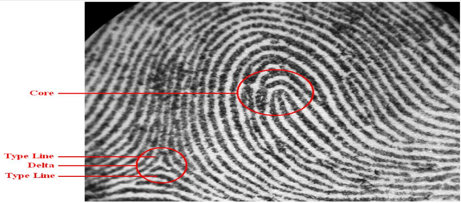 <p>What is the Core?</p>