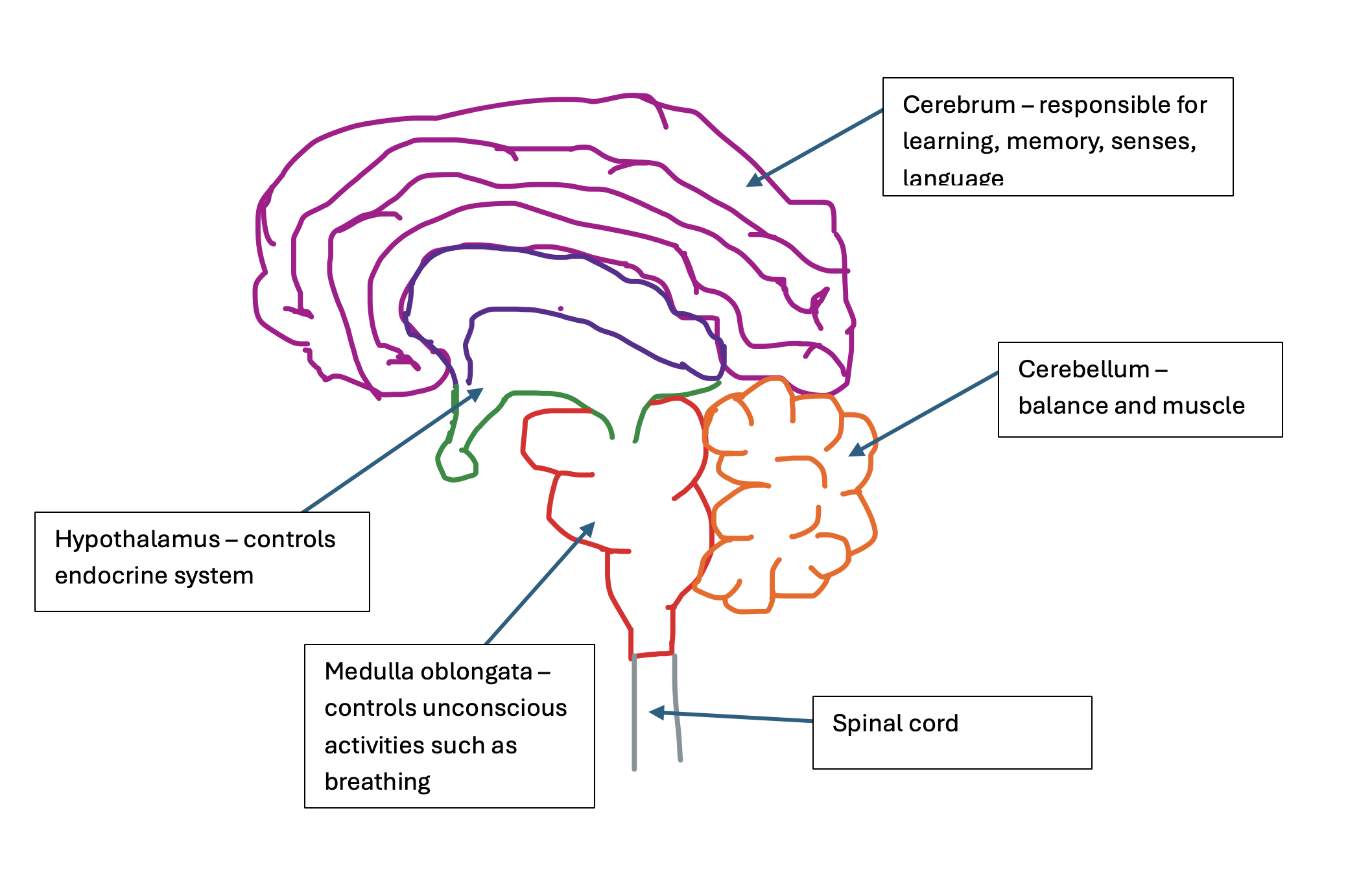 knowt flashcard image