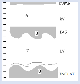 <p>6</p>