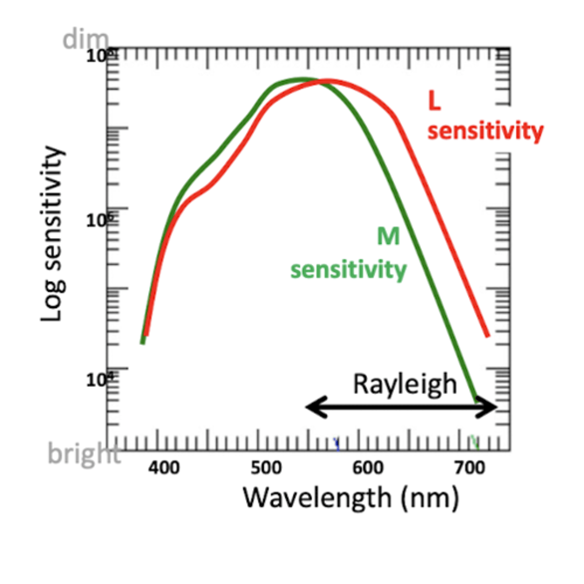 <p>normal - no defects within Rayleigh's region</p>