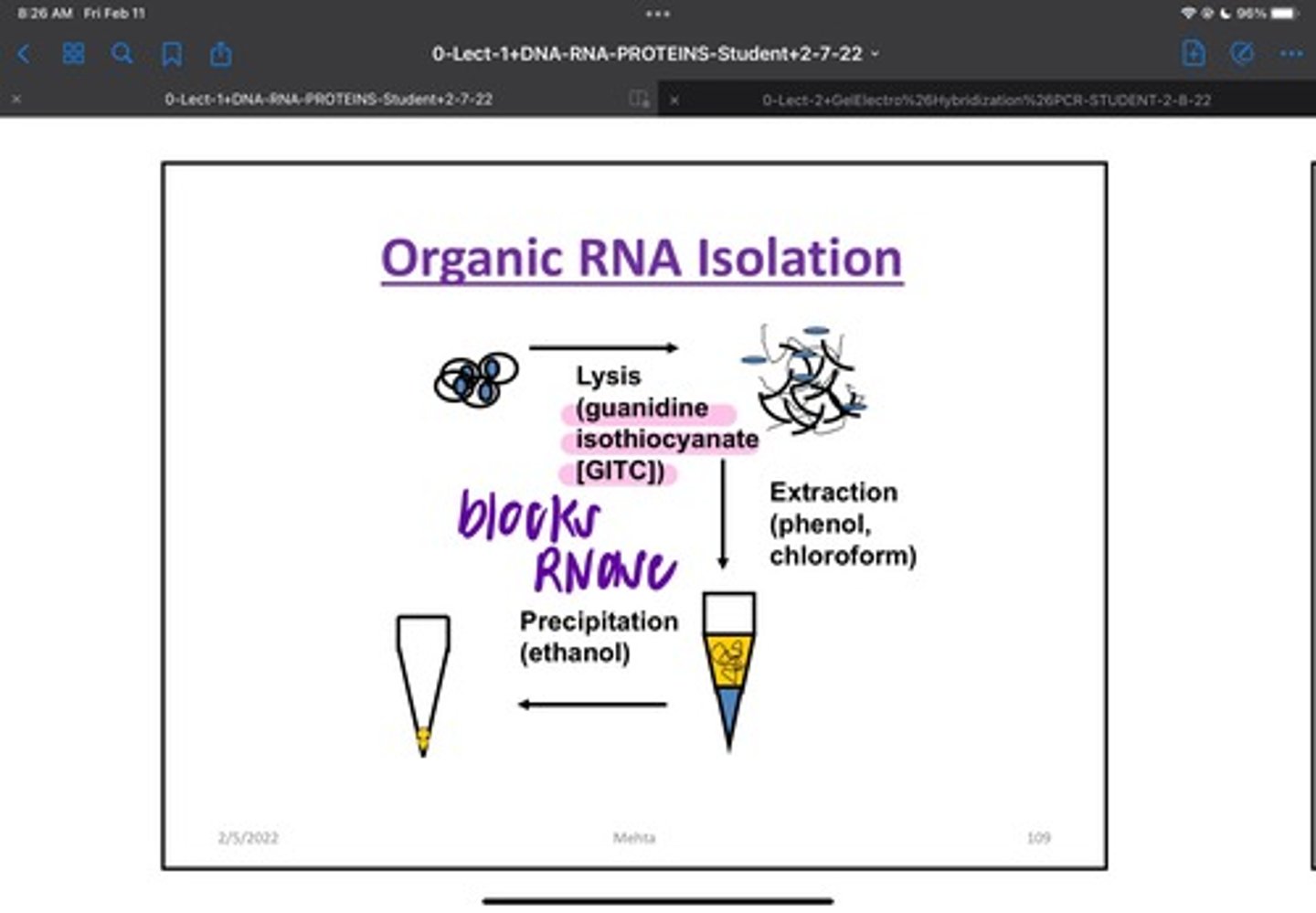 <p>Cell Lysis step for RNA isolation is performed in detergent/phenol, in high salts/ RNase inhibitors. Acid phenol: chloroform: isoamyl alcohol alcohol (25:24:1) to Extract RNA.Treatment with DNAse to remove any contaminating DNA. Glycogen lyst transfer RNA may be added as a carrier to aid in RNA Pellet Formation</p>