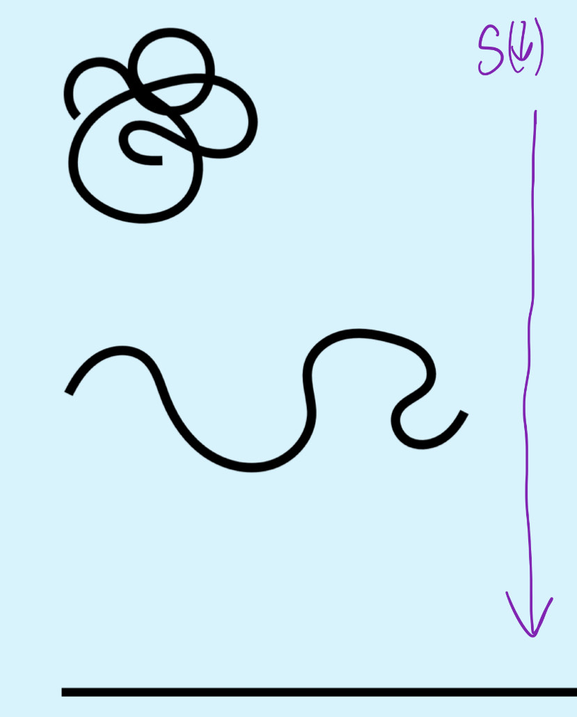 <p>extension increases, and no. possible configurations decreases hence positive elastic restoring force i.e. material is elastic. </p>