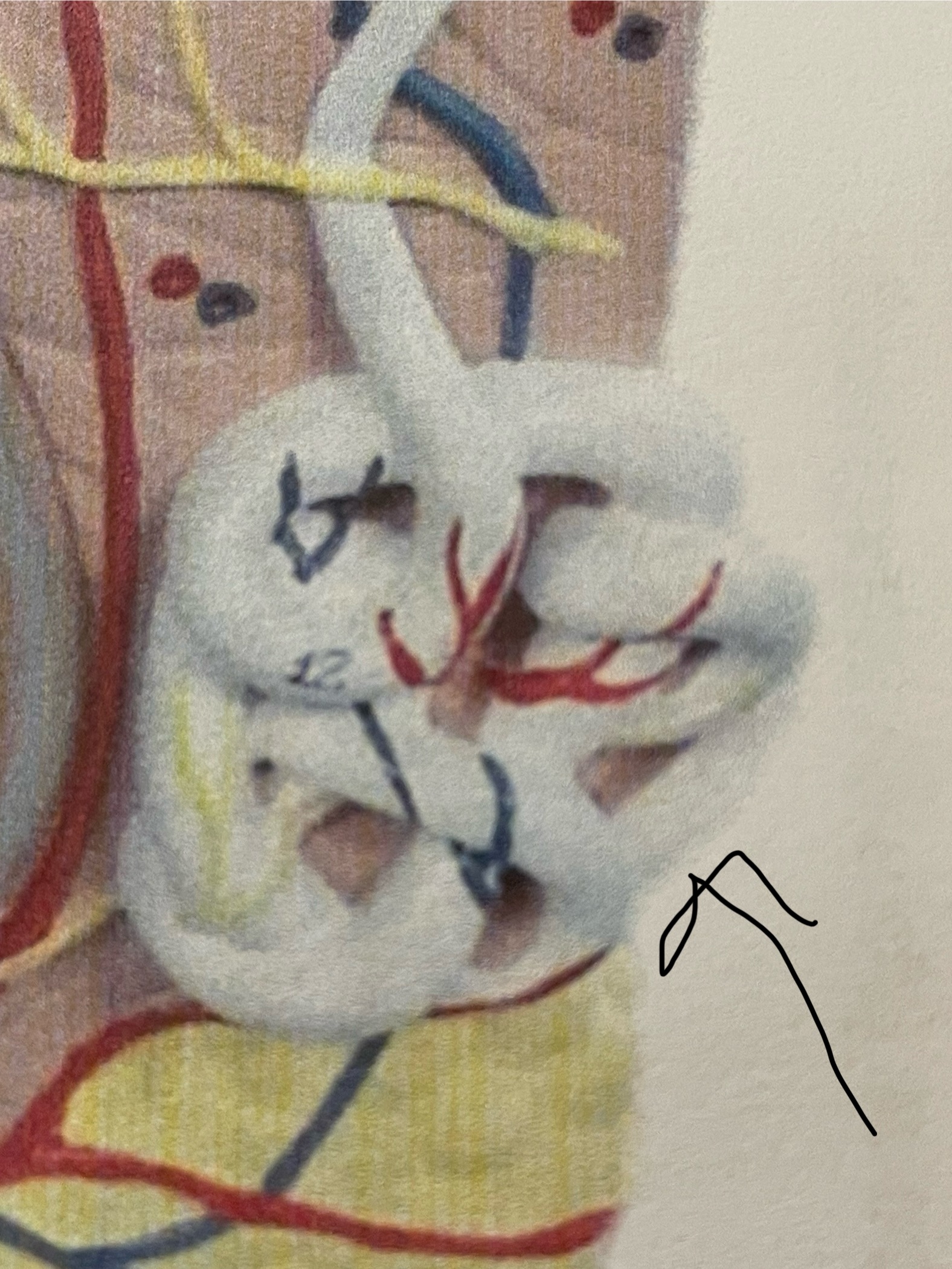 knowt flashcard image