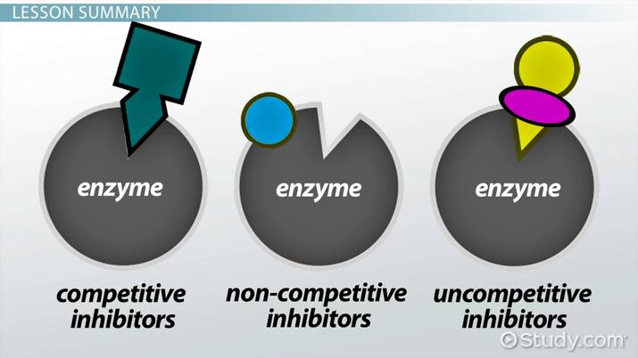 looks like substrate , occupies active site making it unavailable 

* increases substrate concentration 