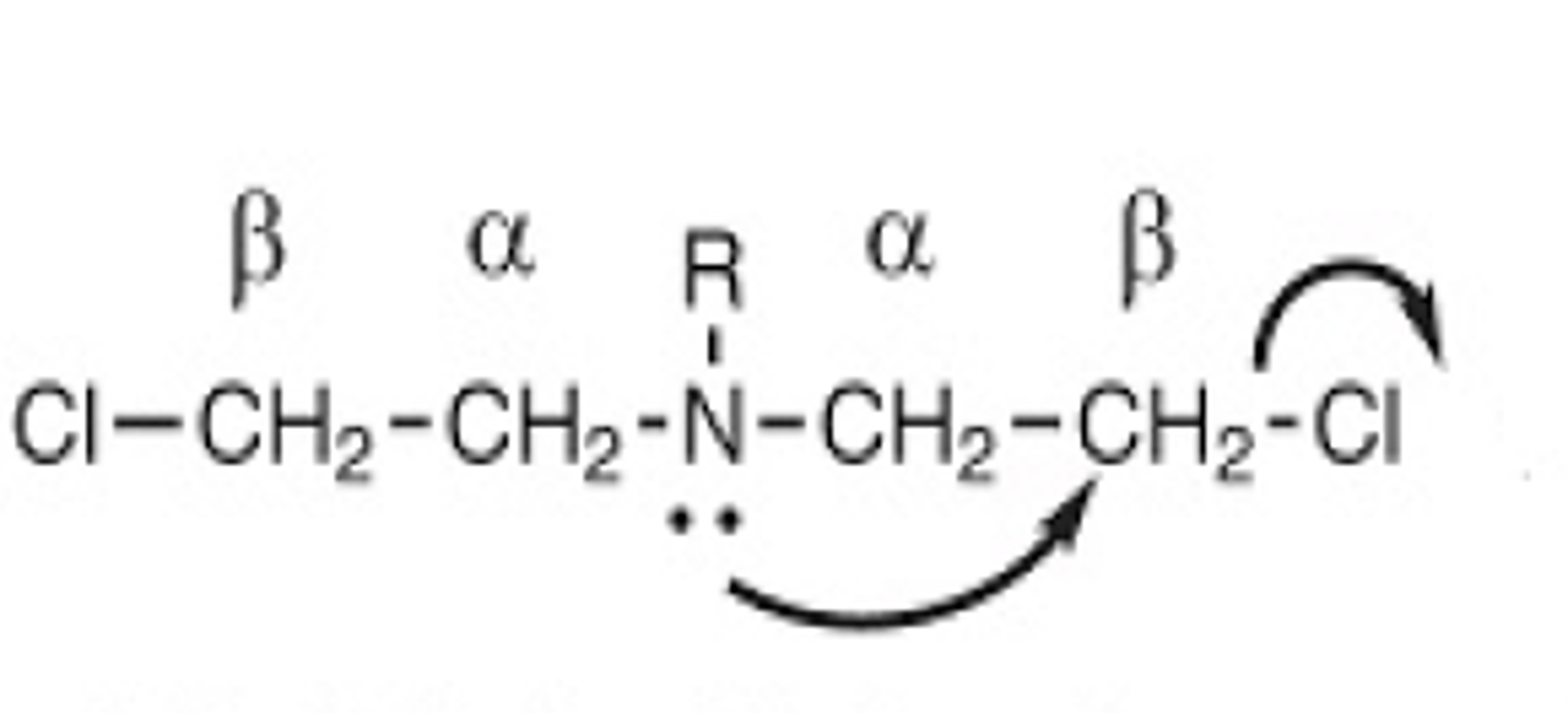 <p>Identify the pharmacophore and class</p>