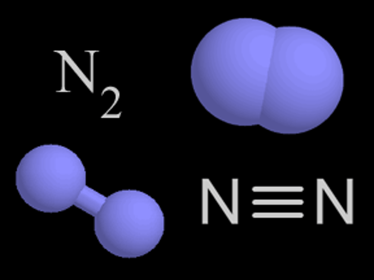 <p>Most abundant form of gas found in Earth's atmosphere, only certain types of bacteria that live in the soil and on the roots of plants called legumes can use this form directly.</p>