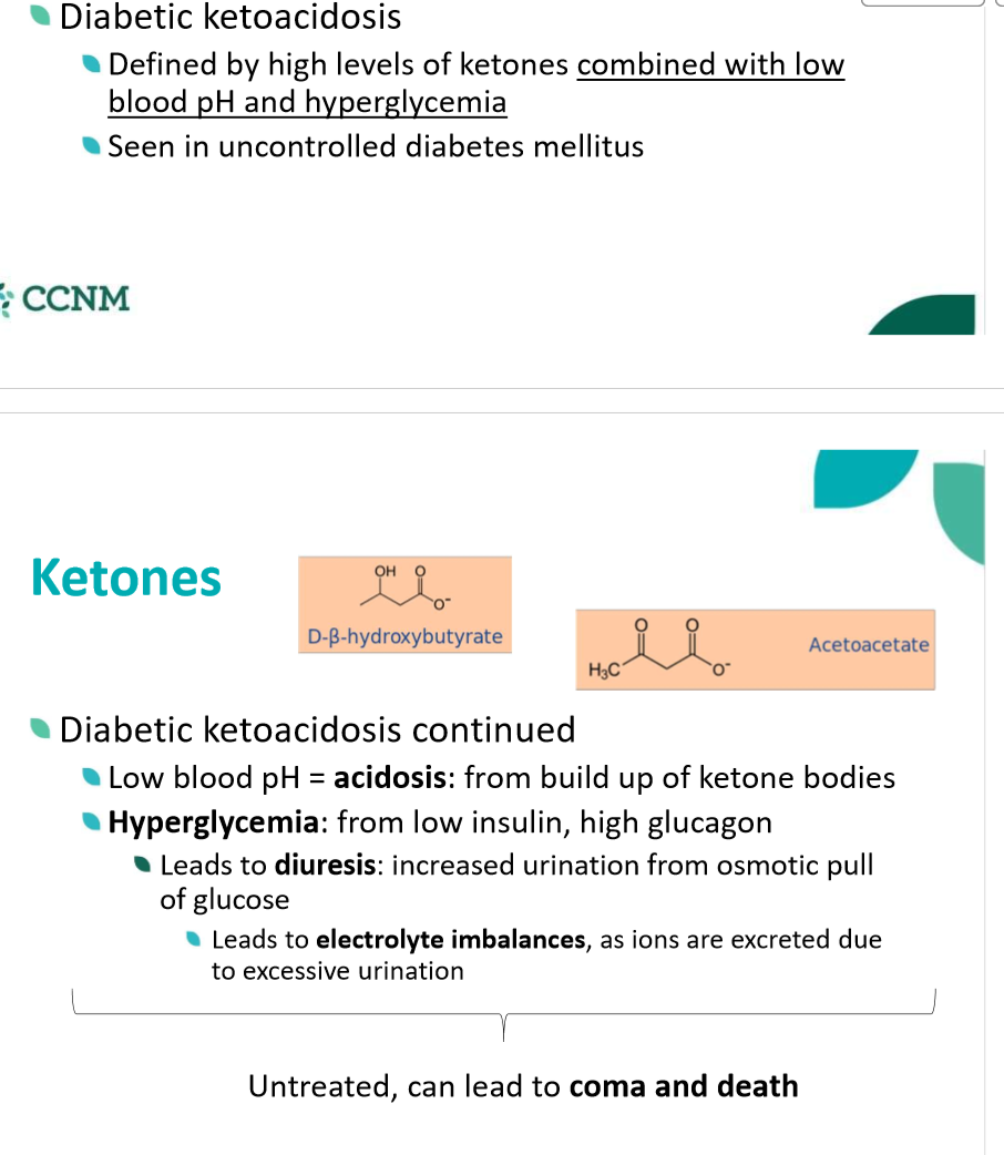 <ul><li><p>pt is thirsty, drinks lots of water and has to uninate all the tome </p></li><li><p>should smell acetone on their breath</p></li></ul><p></p>