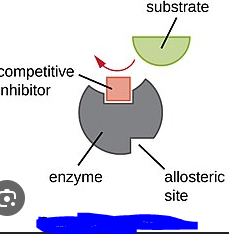 <p>A molecule (Competitor) competing with a molecule of an intended substrate by binding to an active site on an enzyme and taking its place consequently preventing the intended substrate from binding.</p>