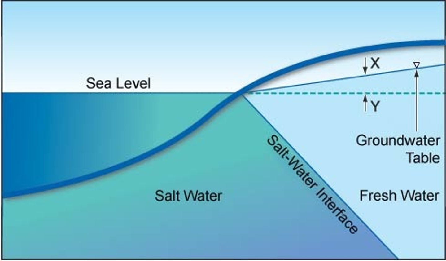 <p>near the coast, sea-level rise and overpumping of groundwater causes saltwater to move into the aquifer.</p>