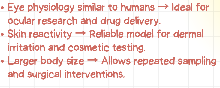 <p>They are valuable due to their eye and skin physiology that mirrors humans, which makes them ideal for ocular and dermal studies. Their larger size also allows more invasive or repeated procedures that aren’t possible in smaller animals.</p>