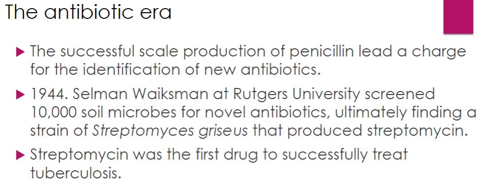 <p>The antibiotic era</p>