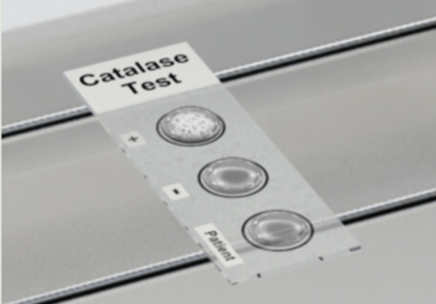 <p>the results can be trusted; the patient's sample is negative for catalase</p>