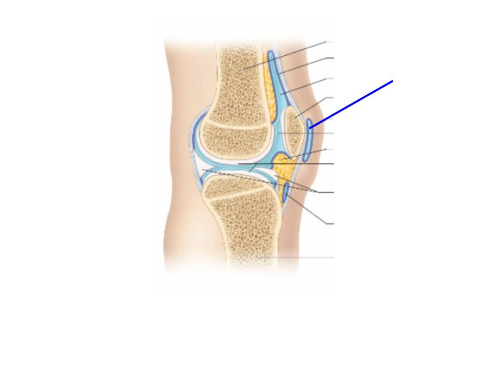 <p>What is this image pointing at? </p>