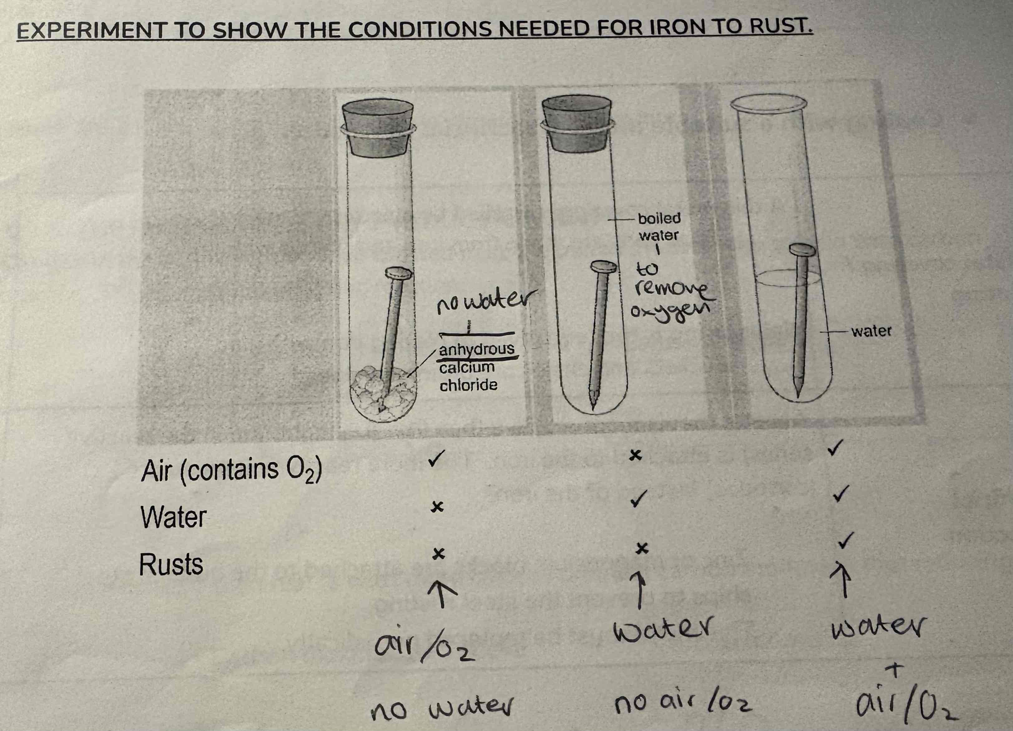 <p>The conditions needed for rusting to occur</p>