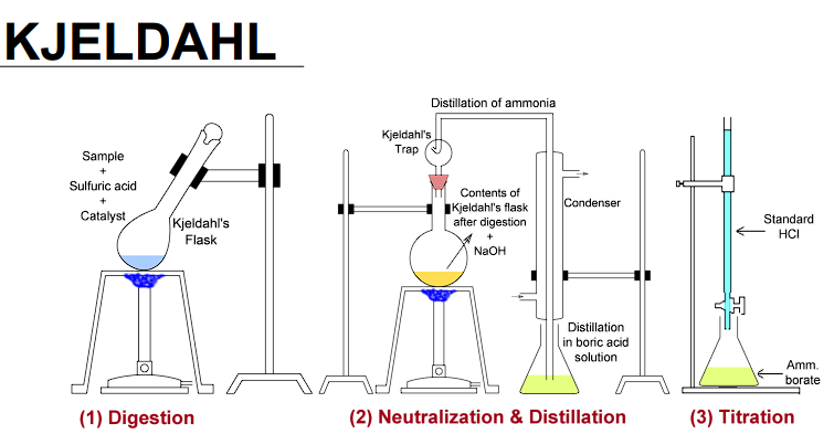 <p>(1) Digestion</p><p>(2) Neutralization and Distillation</p><p>(3) Titration</p>