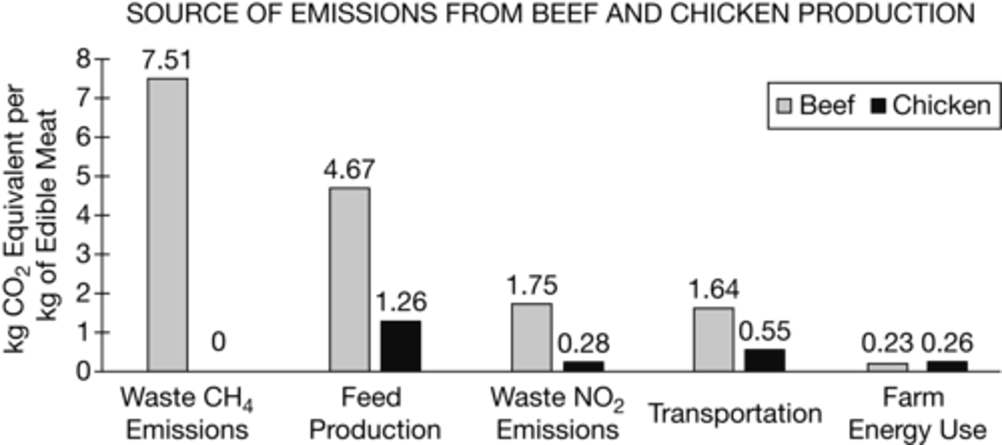 <p>c. Raising beef contributes more to greenhouse gases than raising chickens, primarily due to methane released from fermentation in cows' digestive tracts. ✅</p>