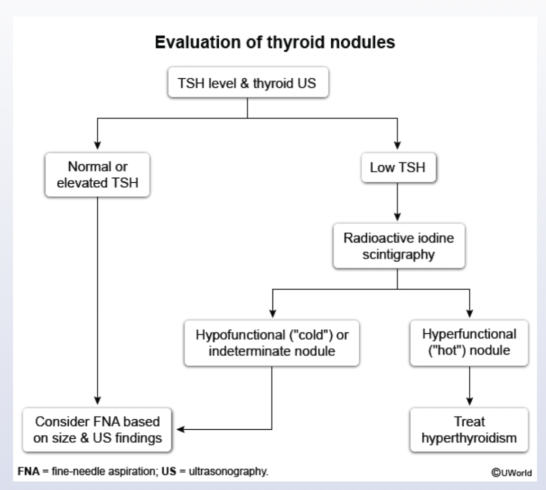 <p>Thyroid Nodule Evaluation </p>
