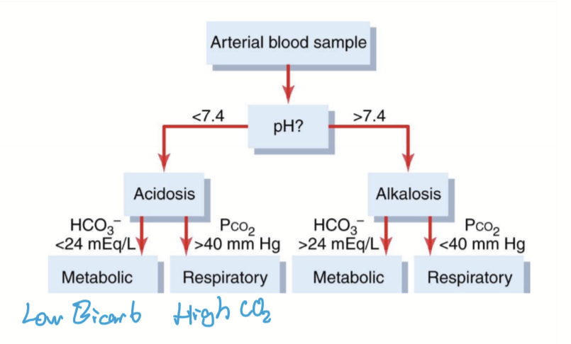 <p>pH &lt; 7.37</p>