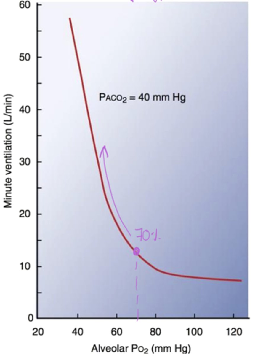 <p>Not linear! - As O2 increases, ventilation decreases, but it's not linear</p>
