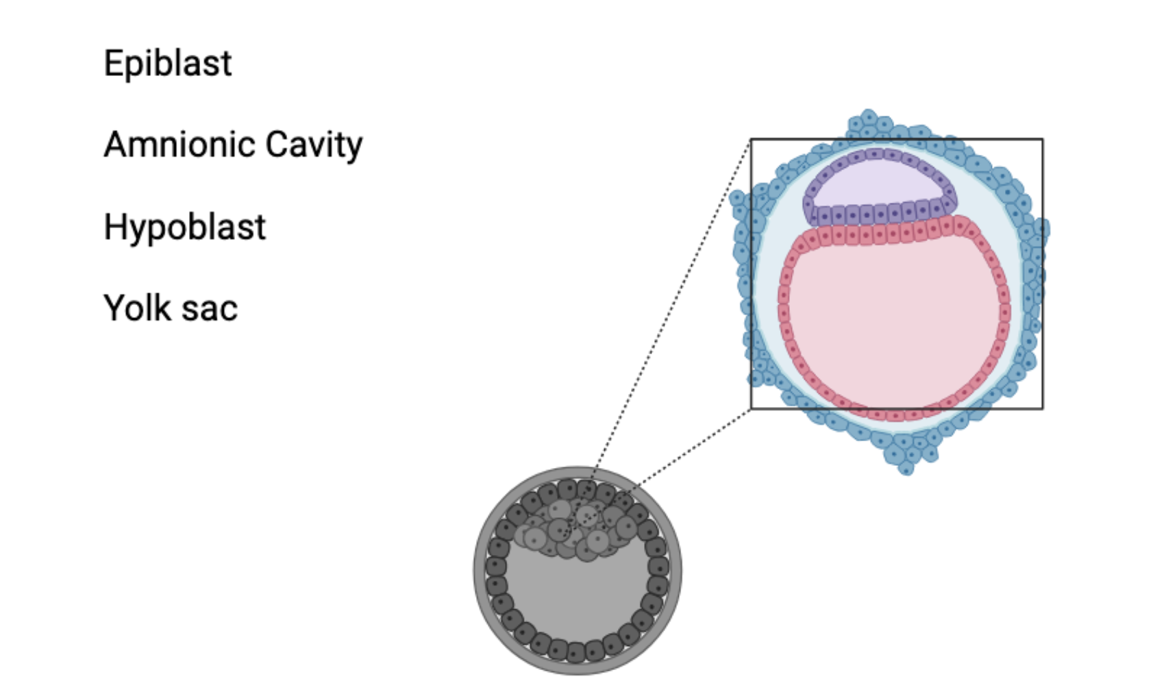 <p>Label the components of this diagram</p>