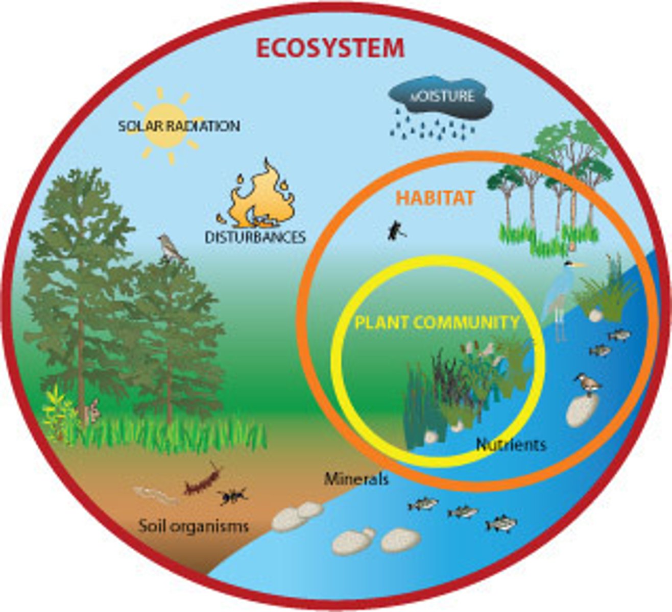 <p>a system formed by the interaction of a community of organisms with their physical environment</p>
