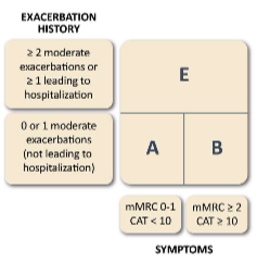 <ul><li><p>mMRC</p></li><li><p>CAT</p></li><li><p>Exacerbation history</p></li></ul>