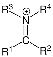 <p></p>