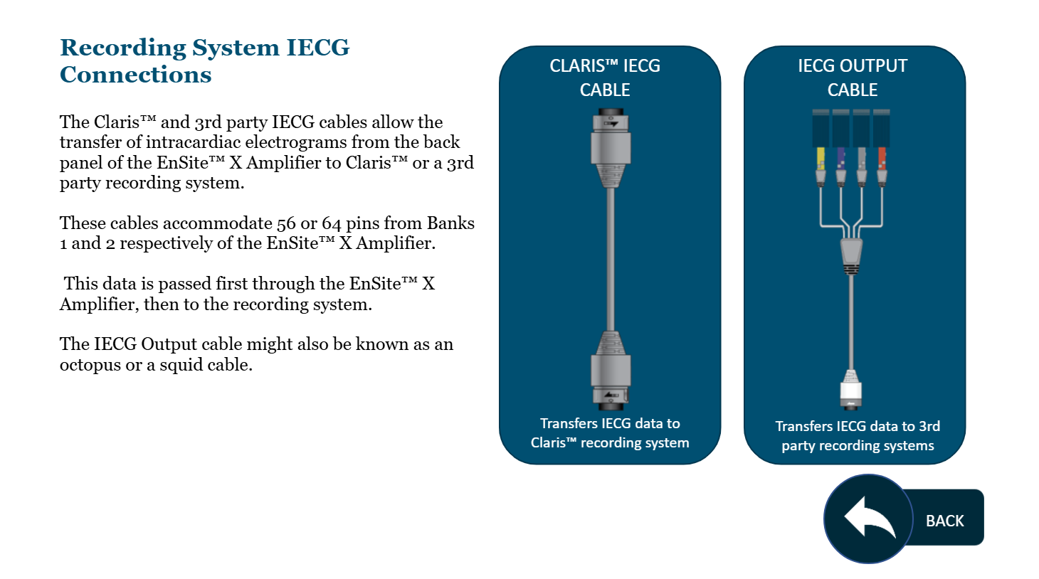 <ol><li><p>Gray 56-pin IECG output cables (think 3rd party recording or Claris) → Bank 1</p><ol><li><p>Pass data from Bank 1 to channels 1 - 56 on the recording system</p></li></ol></li><li><p>White 64-pin IECG cables → Bank 2A or 2B</p><ol><li><p>Pass data from Bank 2 to channels 57 - 120 on the recording system</p></li></ol></li></ol><p></p><p>intracardiac electrograms data → Ensite X Amplifier → recording system</p><p></p>