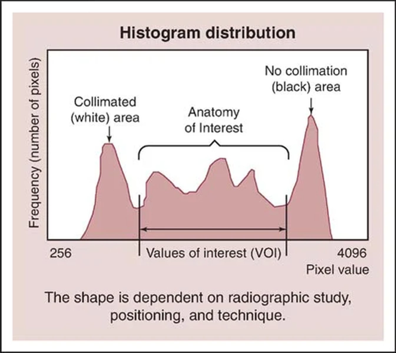 <p>Range of densities that a computer algorithm selects in order to accentuate particular anatomy</p><p>Within region of interest</p>