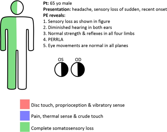 <p>1. Where is the lesion?</p><p>2. The infarct is in what vascular territory?</p>