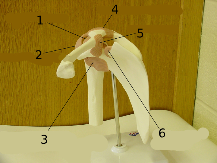 <p>#2</p>