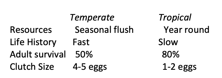 <p>Temperate:</p><ul><li><p>larger clutches </p><ul><li><p>seasonal flush of food (not all year round)</p></li></ul></li><li><p>Future chances of reproduction are lower</p><ul><li><p>Pays to put more effort into breeding</p></li></ul></li><li><p><strong>Fast life history</strong></p></li></ul><p>Tropics</p><ul><li><p>resources all year round</p></li><li><p><strong>Slow life history</strong></p></li></ul><p></p>