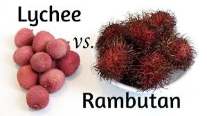 <p>lychee, rambutan</p>