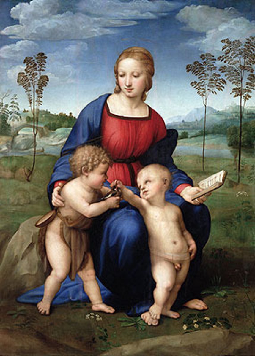 <p>Image</p>