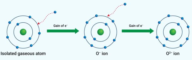 <p>The amount of energy released when a gaseous species gains an electron in its valence shell</p><p>Exothermic process that expels energy as heat</p>