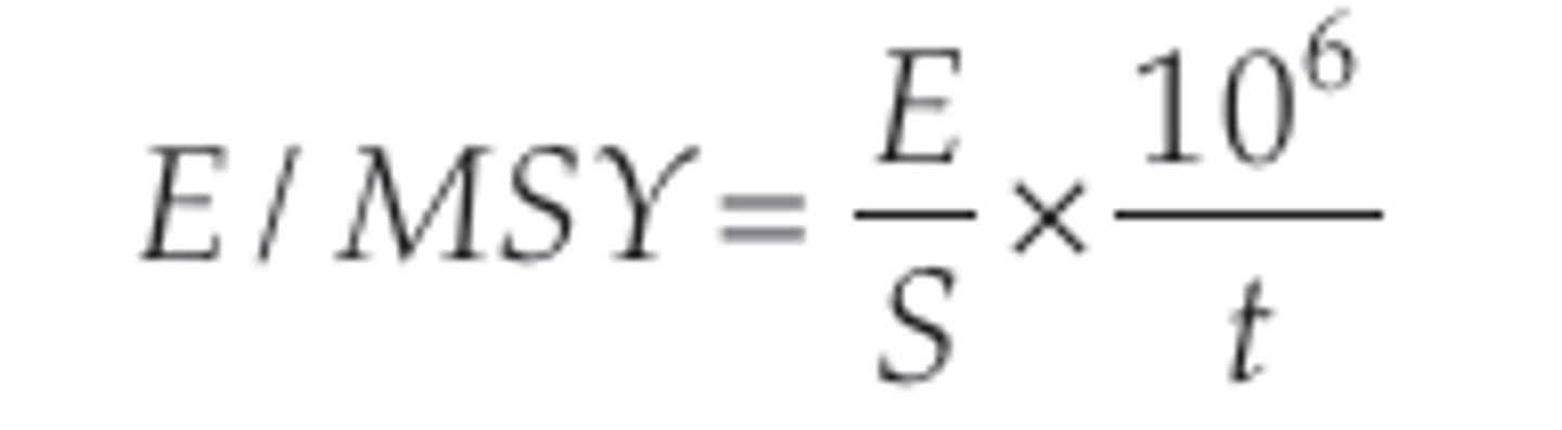 <p>E/MSY=E/S10^6/t; Number of species expected to go extinct in 1 million years per the number of species that exist</p>