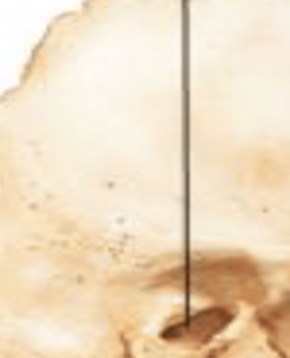 <p>ear hole</p>
